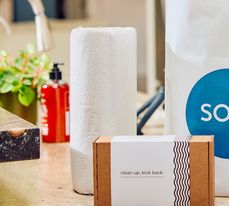 Kitchen counter with paper towels, cleaning kit box, red soap dispenser, and SOJO bag
