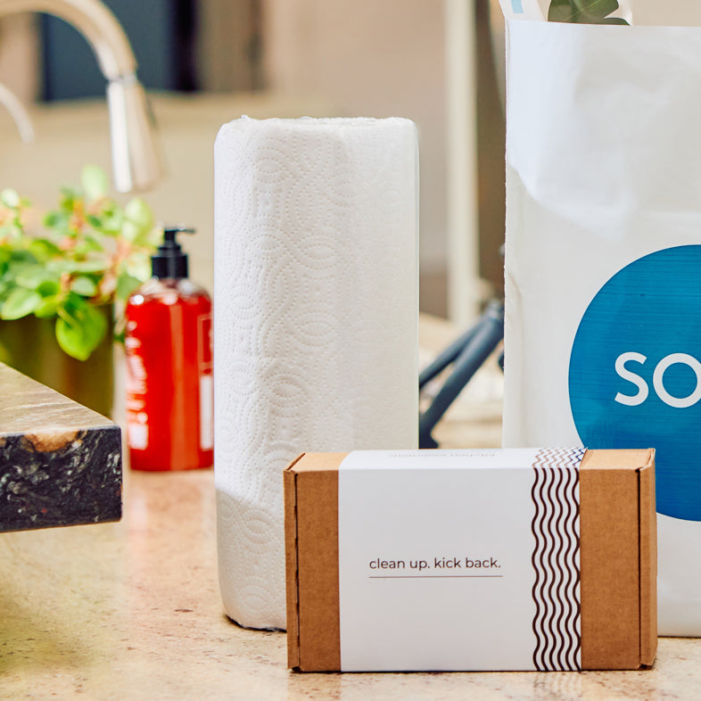Kitchen counter with paper towels, cleaning kit box, red soap dispenser, and SOJO bag