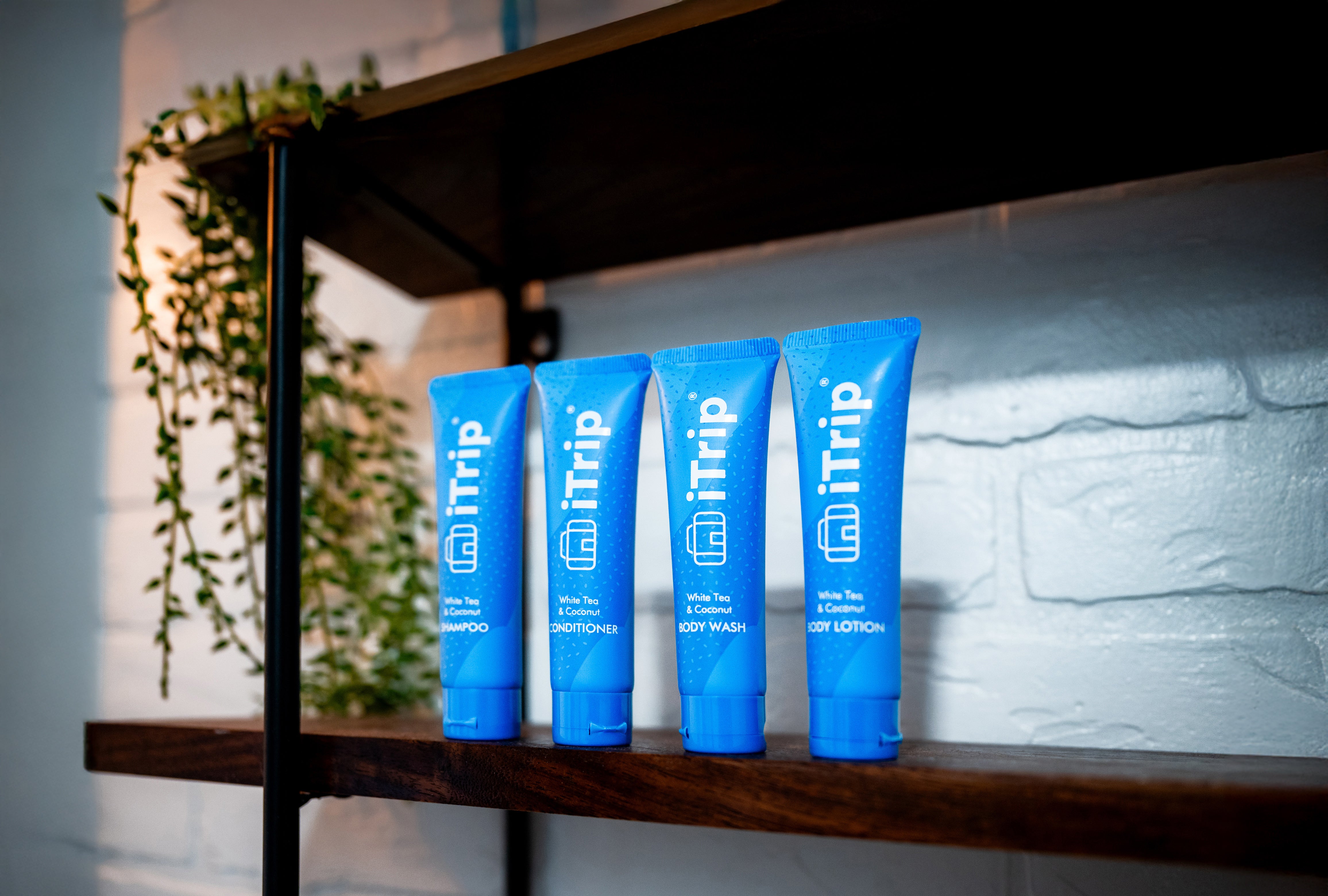 Four blue iTrip travel toiletry tubes on a wooden shelf, white brick wall background