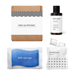 kitchen essentials kit including fresh citrus-scented dish soap, dish sponge, and dishwasher pacs in a box.