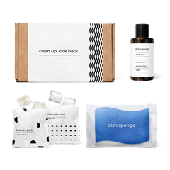 kitchen essentials kit featuring fresh citrus-scented dish soap, dish sponge, laundry pods, and dishwasher pacs in a box.