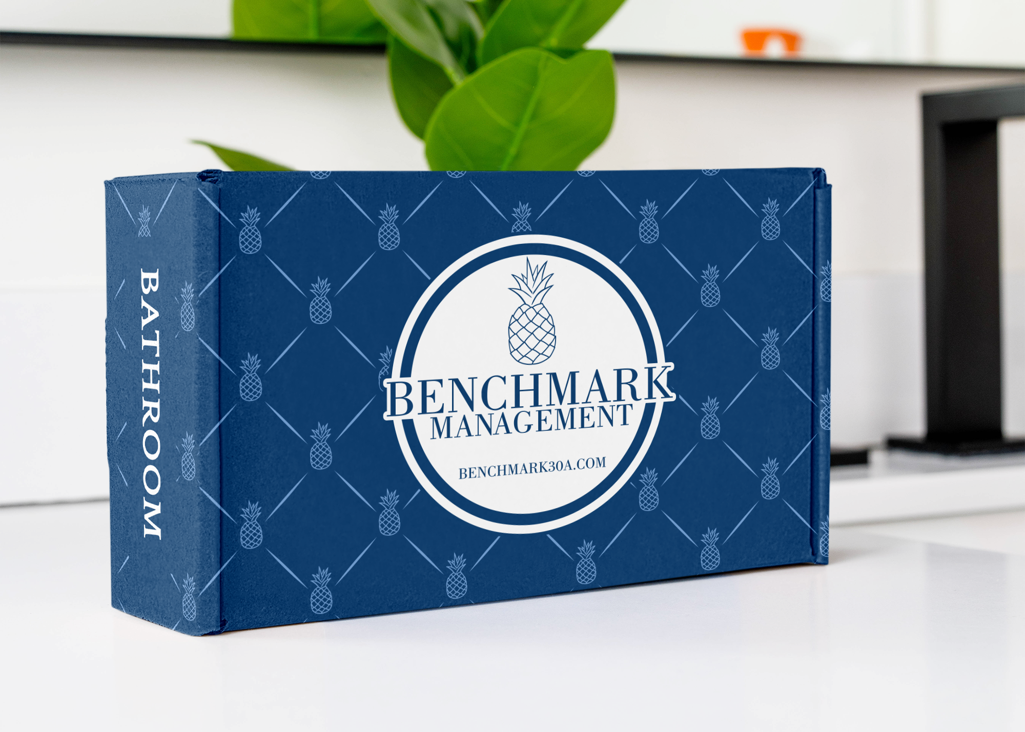 Blue box with Benchmark Management logo on a white surface with a plant in the background